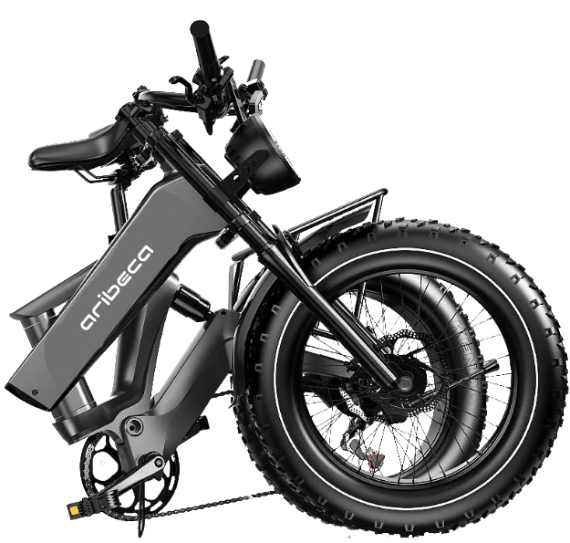 ARIBECA Foldable E-bikes